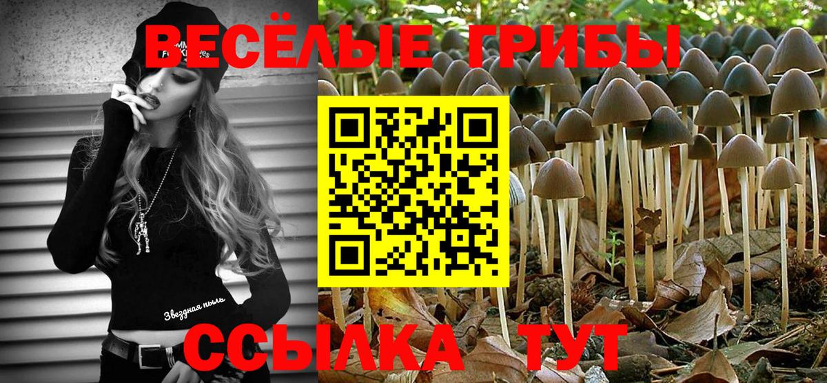Псилоцибиновые грибы мухоморы Вышний Волочёк
