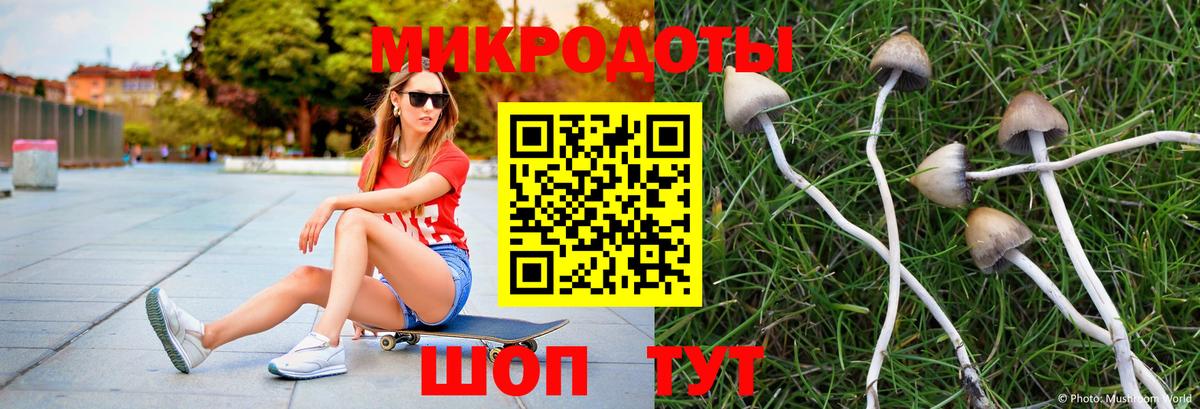 купить   Вход с VPN  Вышний Волочёк  Галлюциногенные грибы Magic Shrooms 